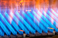 Westward gas fired boilers